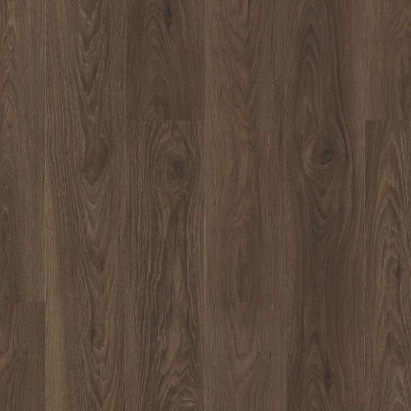 Shaw Floors Resilient Residential Pantheon Hd+ Natural Bevel Charred Earth