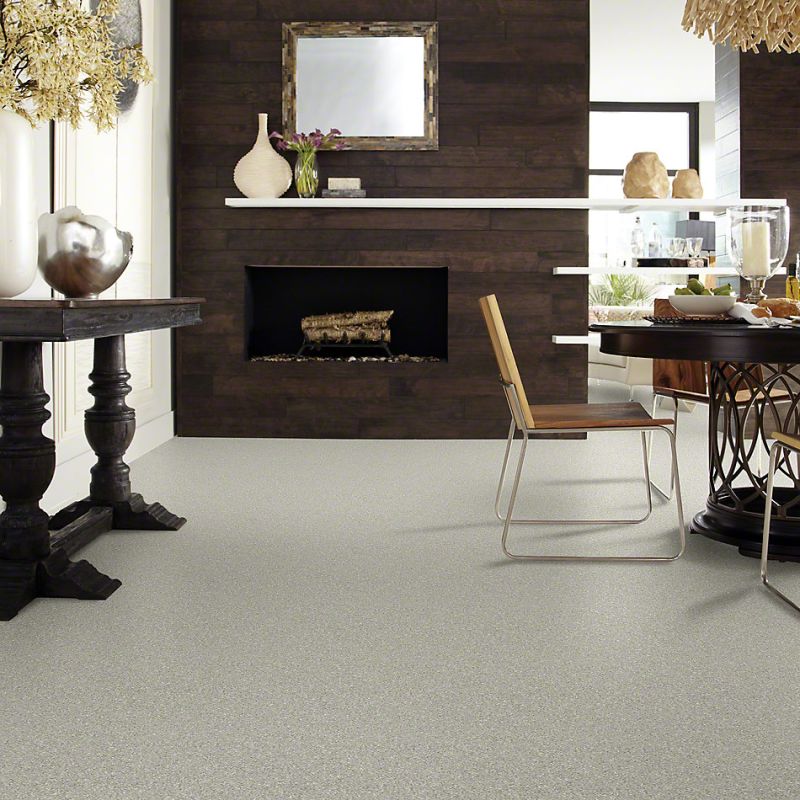 Shaw Floors Simply The Best Attainable Soft Fleece