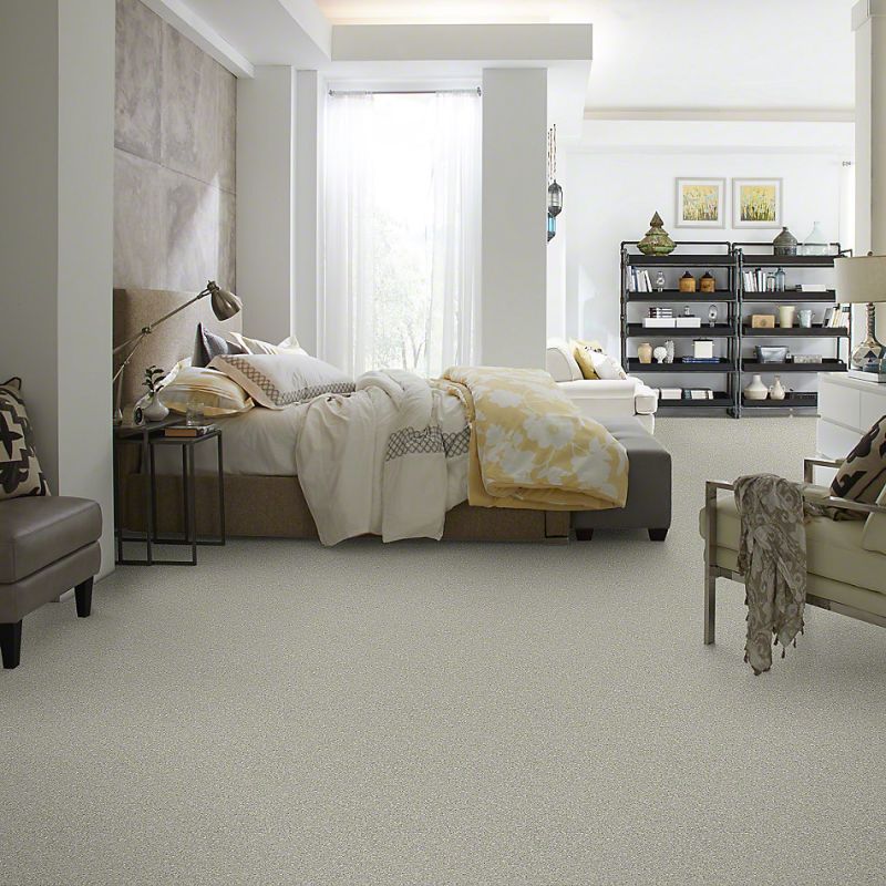 Shaw Floors Simply The Best Attainable Soft Fleece