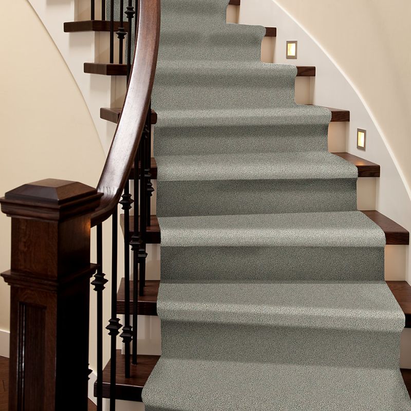 Shaw Floors Simply The Best Momentum I Moondance