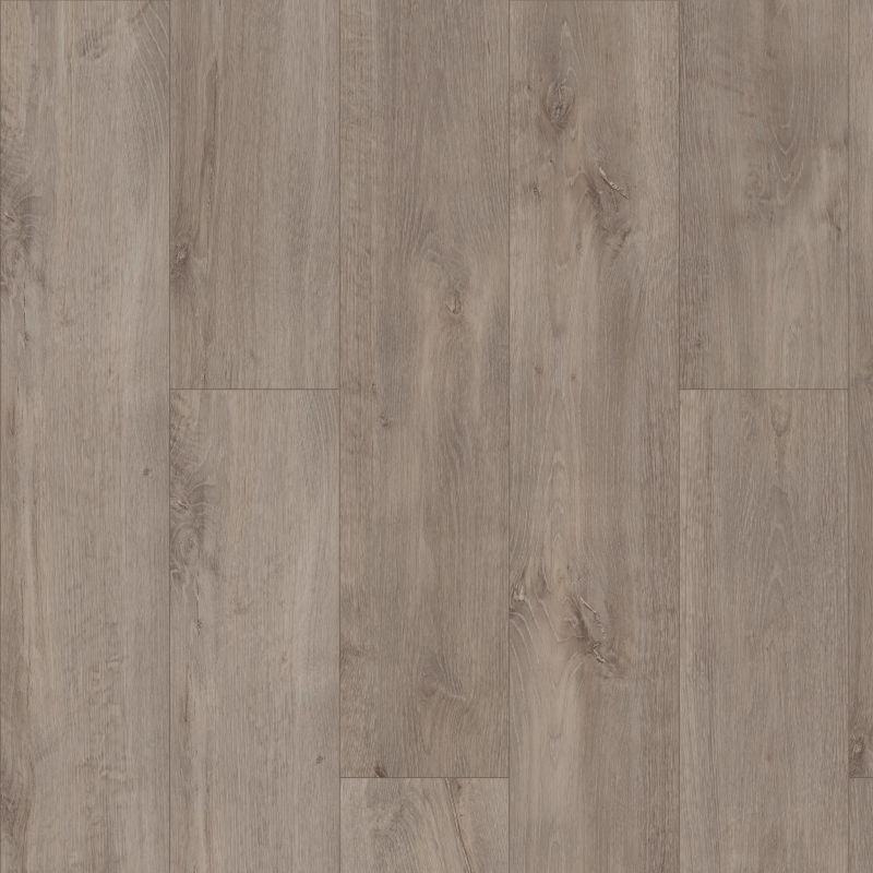 Shaw Floors Resilient Residential Allegiance + Acc Ambassador