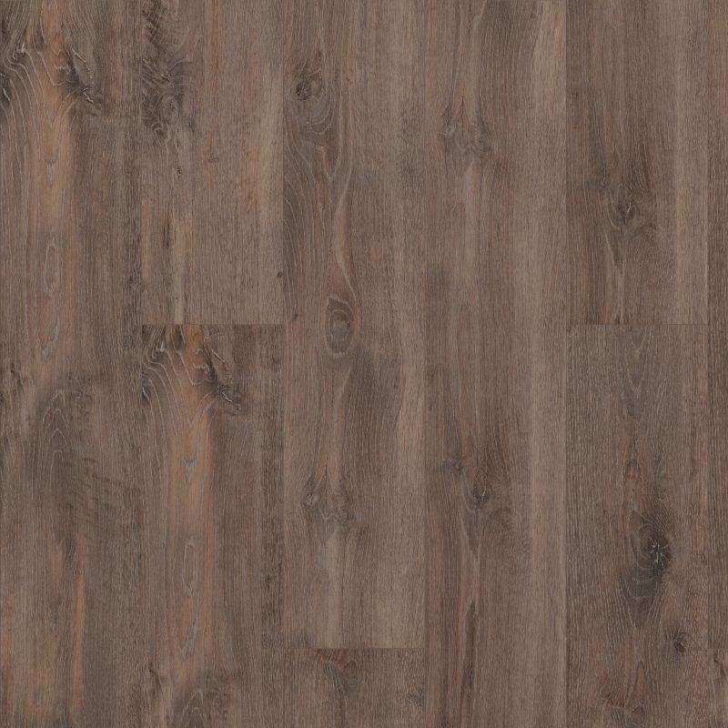 Shaw Floors Resilient Residential Allegiance + Acc Chapman