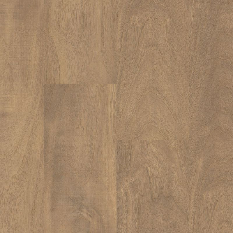 Shaw Floors Resilient Residential Prodigy Hdr Plus Mindful