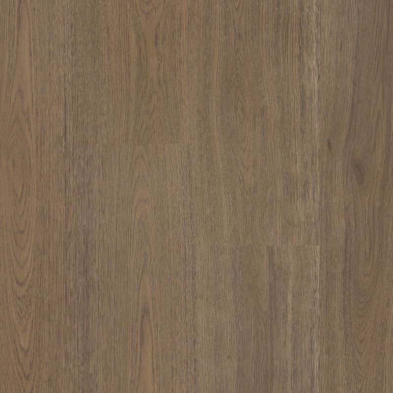 Shaw Floors Resilient Residential Prodigy Hdr Plus Glogg