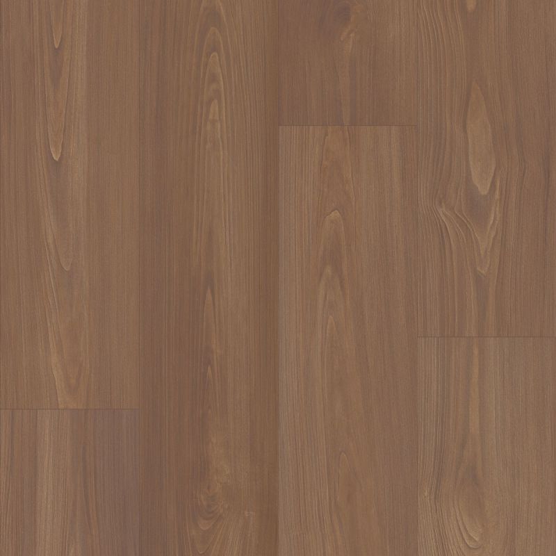 Shaw Floors Resilient Residential Prodigy Hdr Mxl Plus Sable