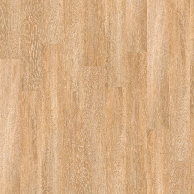 Shaw Floors World's Fair 6 II Paris