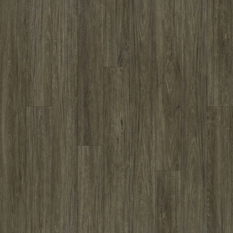 Shaw Floors Resilient Residential Alto Plus Plank Presanella