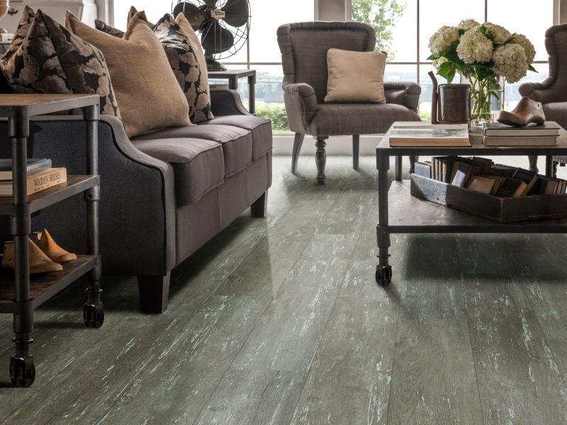 Shaw Floors Resilient Residential Alto Plus Plank Leone