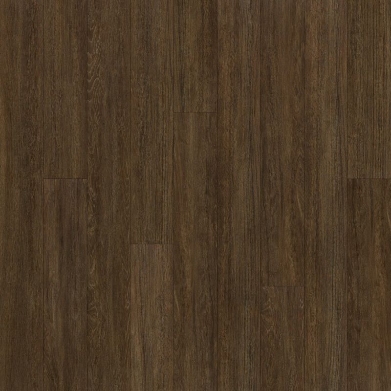 Shaw Floors Resilient Residential Alto Plus Plank Terza Grande