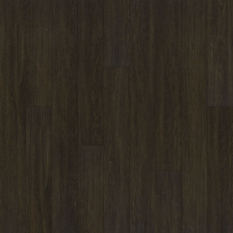 Shaw Floors Resilient Residential Alto Plus Plank Viso