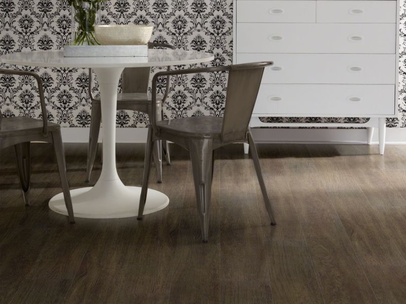 Shaw Floors Resilient Residential Alto Plus Plank Viso