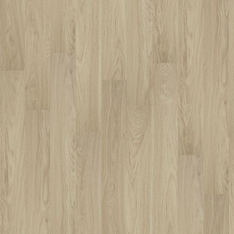 Shaw Floors Resilient Residential Palatino Plus Stadium