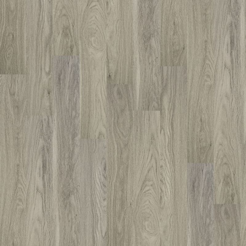 Shaw Floors Resilient Residential Palatino Plus Palace