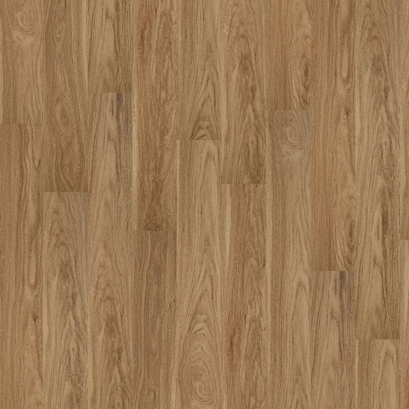 Shaw Floors Resilient Residential Palatino Plus Museum