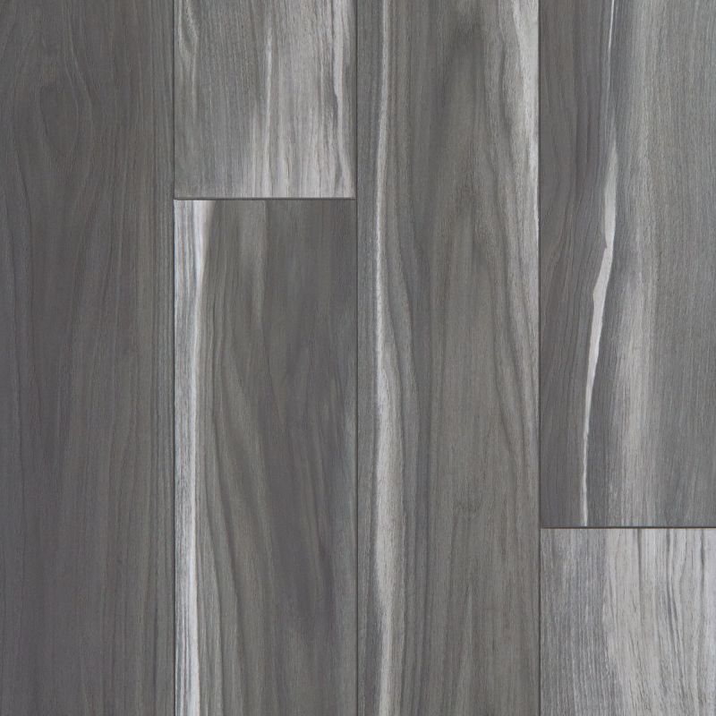 Shaw Floors Resilient Residential Tenacious Hd+ Accent Shadow