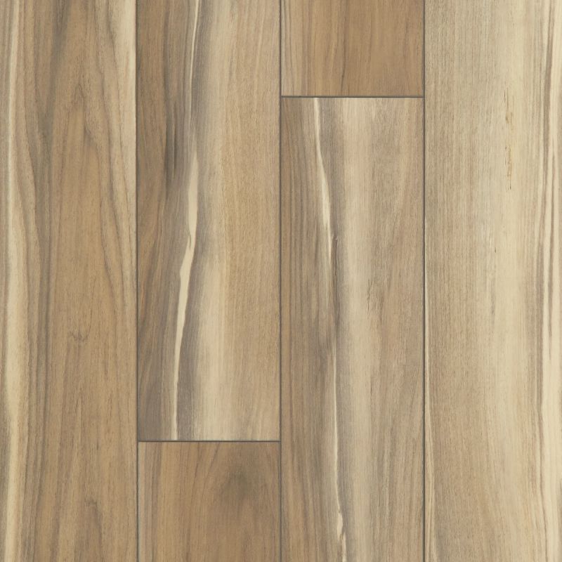 Shaw Floors Resilient Residential Tenacious Hd+ Accent Sunbaked