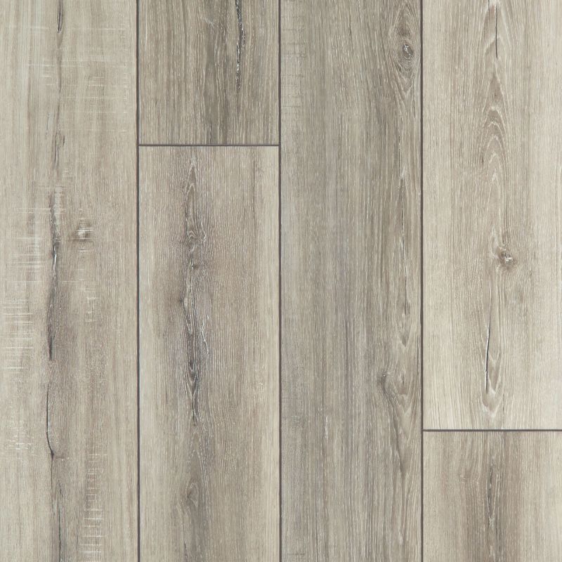 Shaw Floors Resilient Residential Tenacious Hd+ Accent Basillica