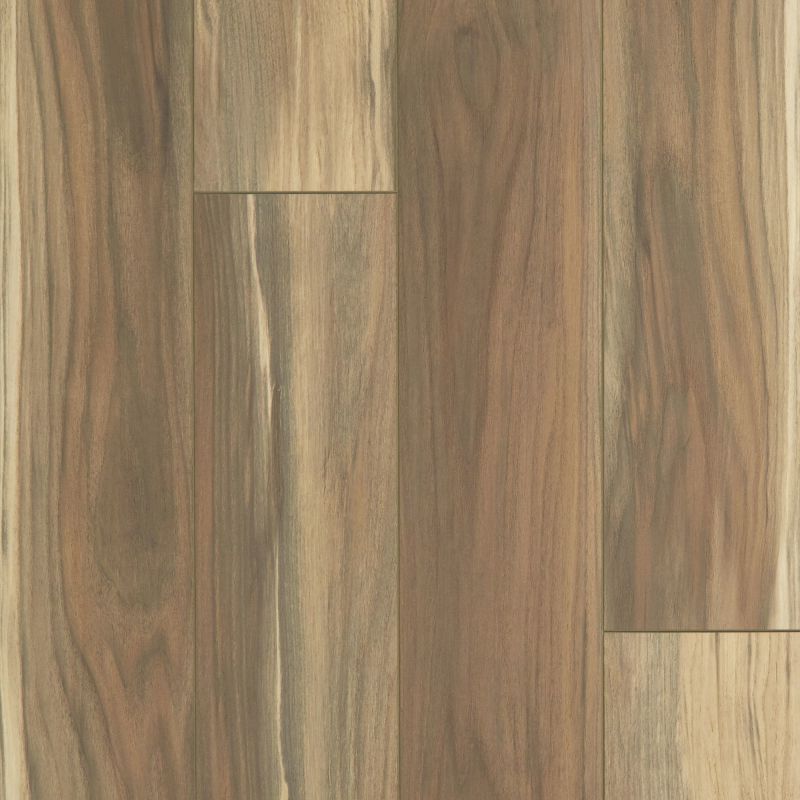 Shaw Floors Resilient Residential Tenacious Hd+ Accent Phoenix