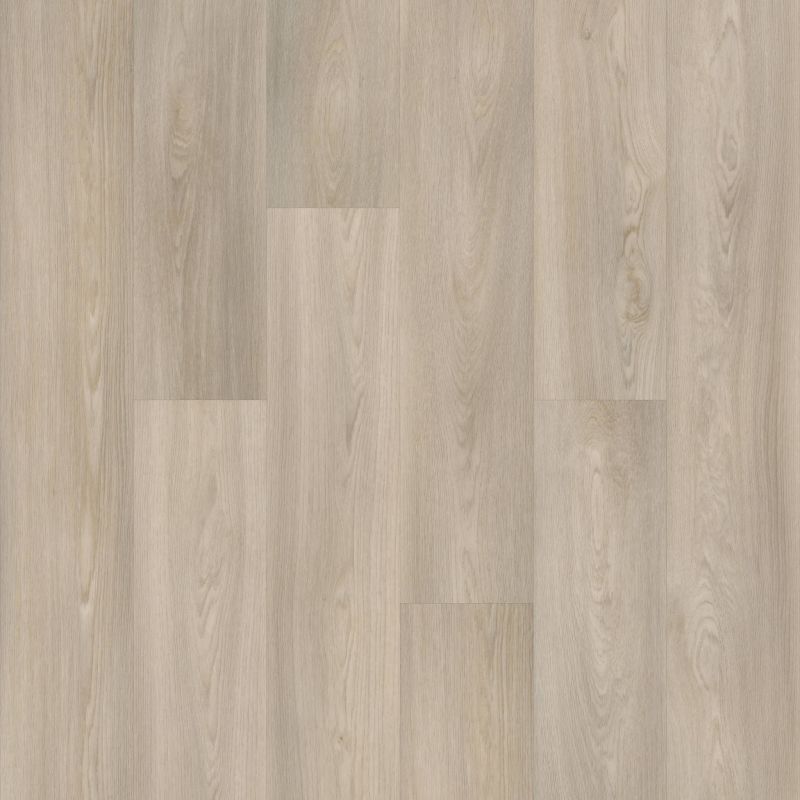 Shaw Floors Resilient Residential Praxis Plank Morris