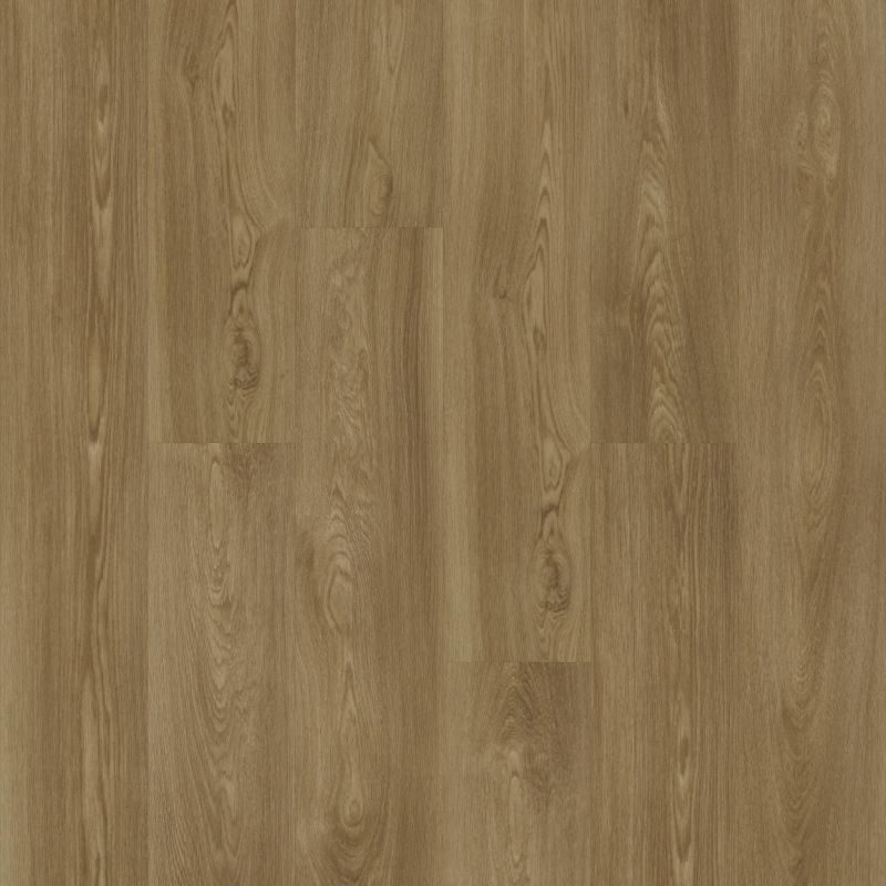 Shaw Floors Resilient Residential Praxis Plank Theory