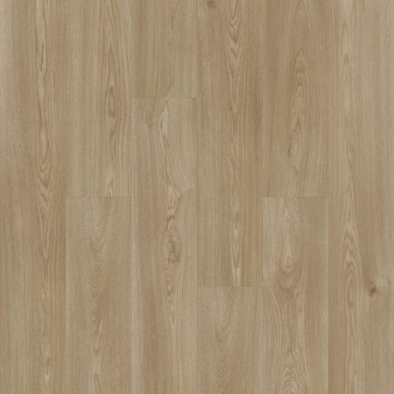 Shaw Floors Resilient Residential Praxis Plank Chaucer