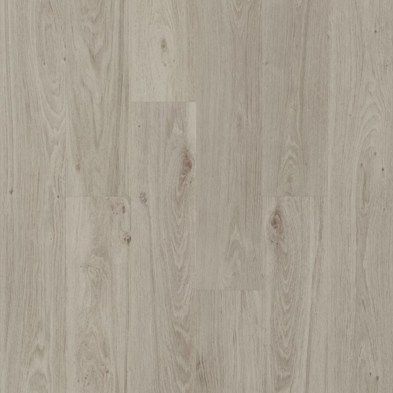 Shaw Floors Resilient Residential Praxis Plank Guild