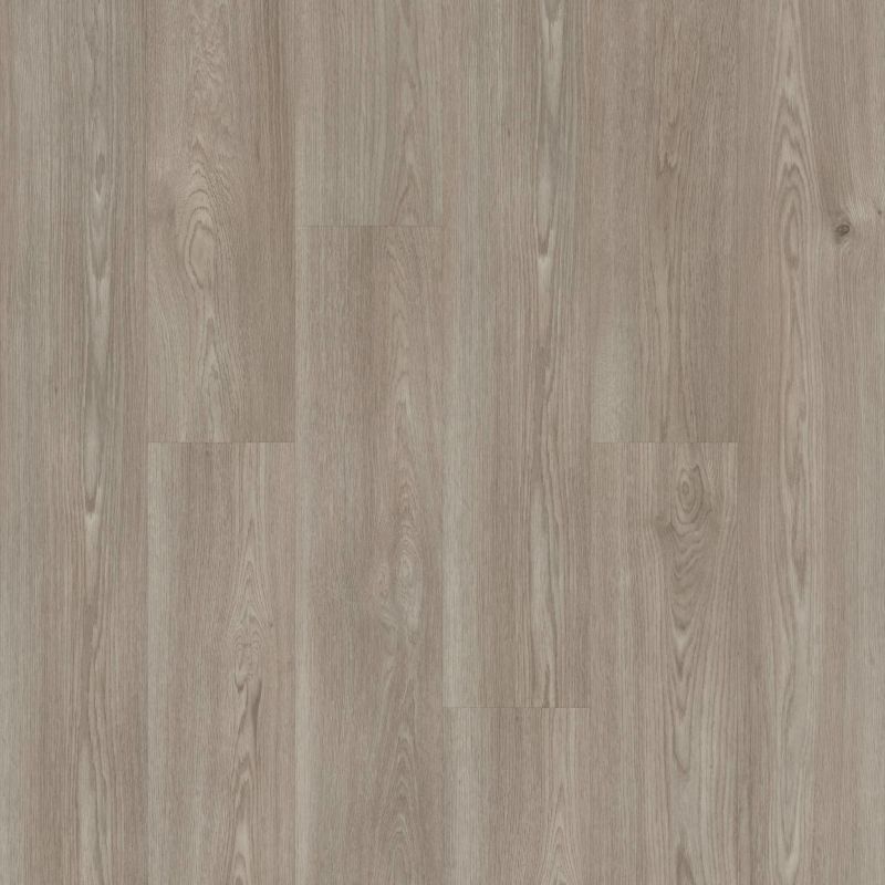 Shaw Floors Resilient Residential Praxis Plank Muse