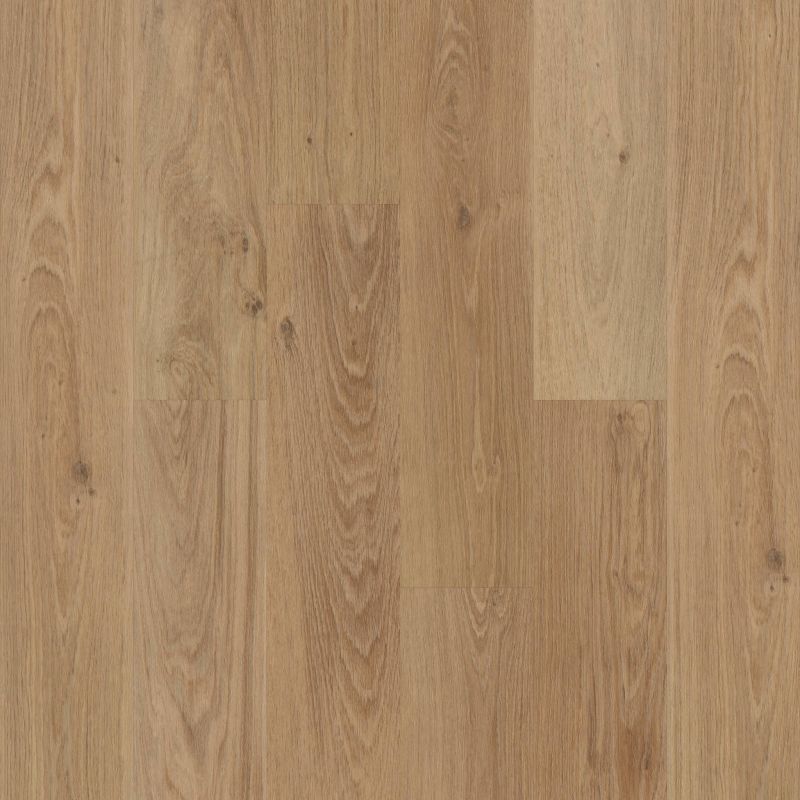 Shaw Floors Resilient Residential Praxis Plank Craftsman