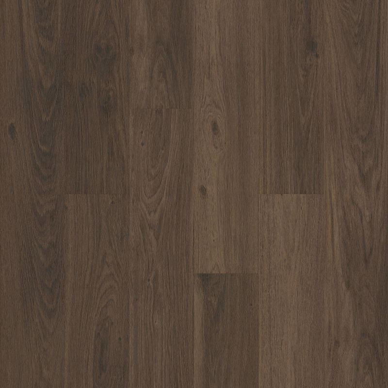 Shaw Floors Resilient Residential Praxis Plank Canon