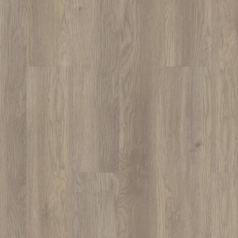 Shaw Floors Resilient Residential Infinite 8 Salt River