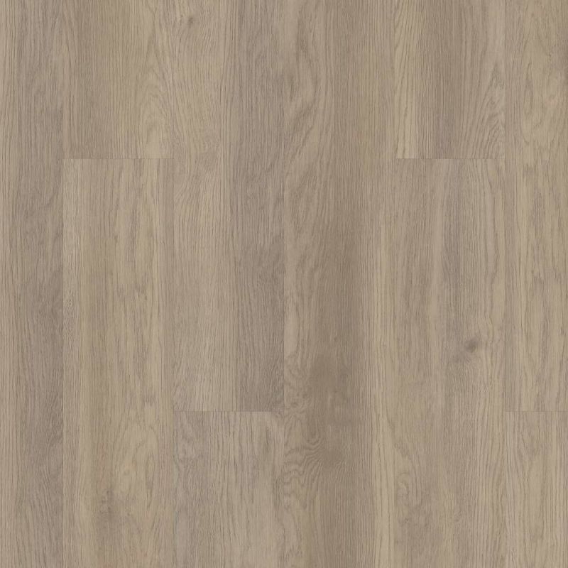 Shaw Floors Resilient Residential Infinite 12 Salt River