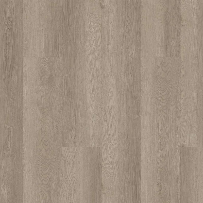 Shaw Floors Resilient Residential Infinite 12 Pampas