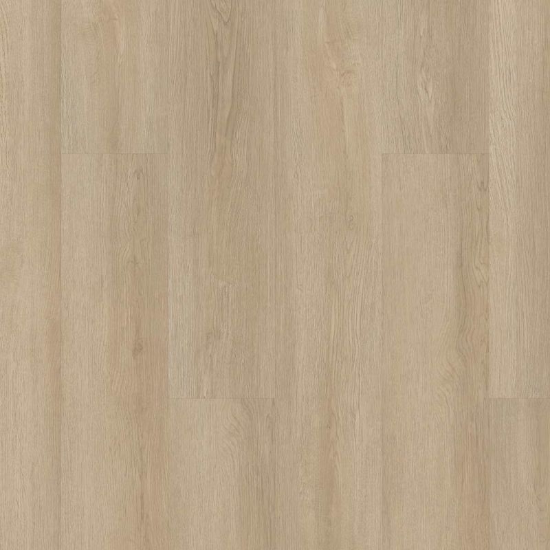 Shaw Floors Resilient Residential Infinite 12 Barley Field