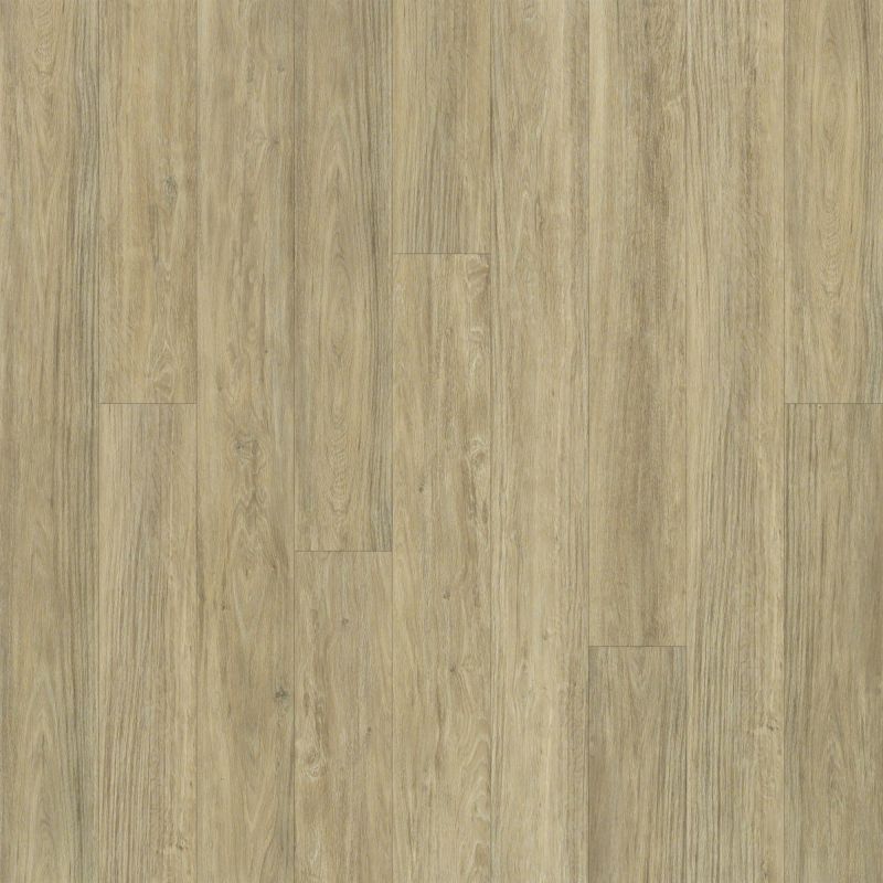 Shaw Floors SFA Largo Plus Carbonaro
