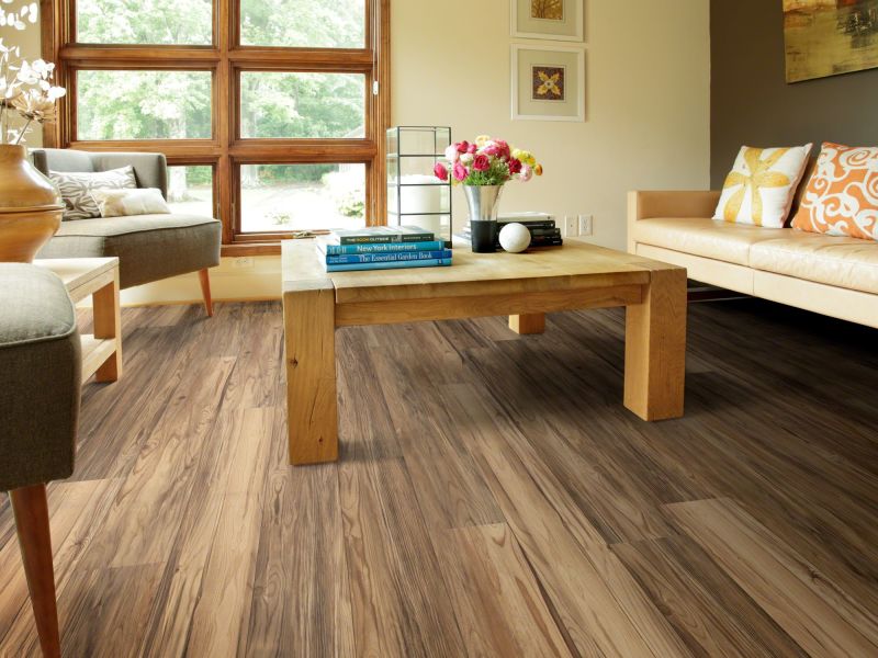 Shaw Floors SFA Largo Plus Caplone