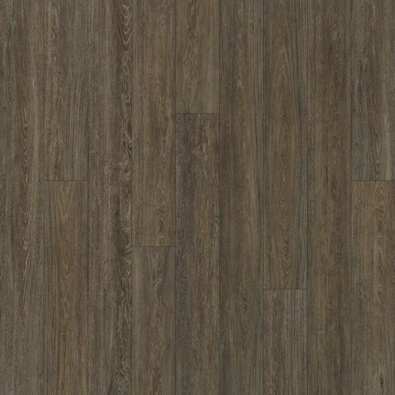 Shaw Floors SFA Largo Plus Miletto
