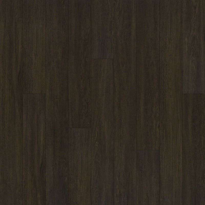 Shaw Floors SFA Largo Plus Viso