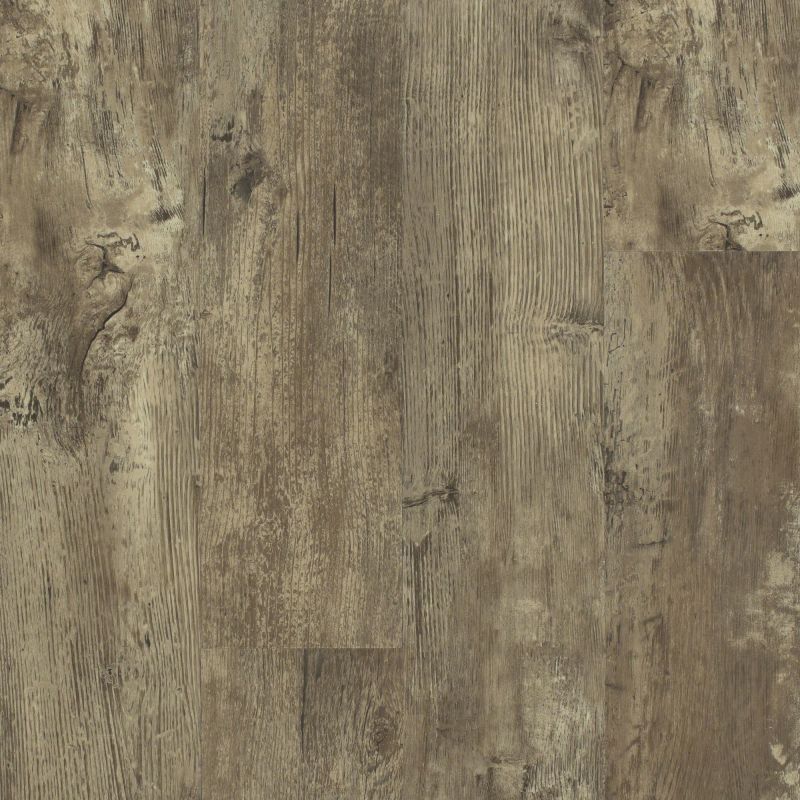 Shaw Floors Resilient Residential Paramount 512c Plus Jade Oak