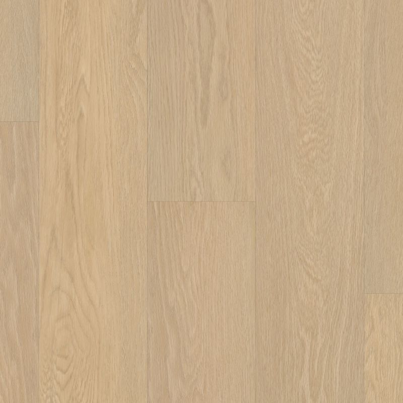 Shaw Floors Resilient Residential Paramount 512c Plus Oceanfront