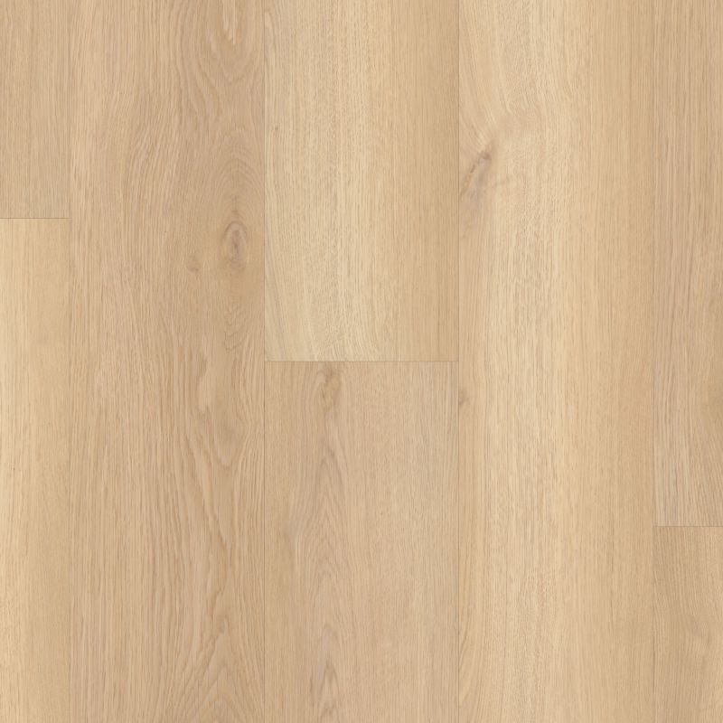 Shaw Floors Resilient Residential Paramount 512c Plus White Sand
