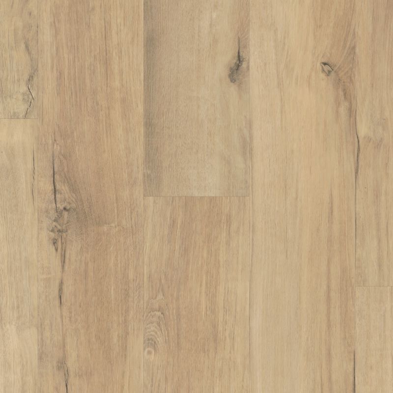 Shaw Floors Resilient Residential Paramount 512c Plus Marina