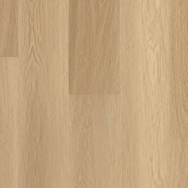 Shaw Floors Resilient Residential Paramount 512c Plus Castaway