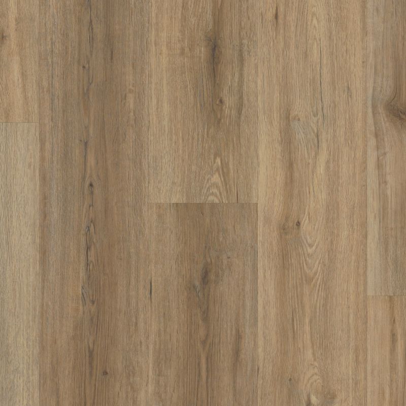 Shaw Floors Resilient Residential Paramount 512c Plus Wild Dunes