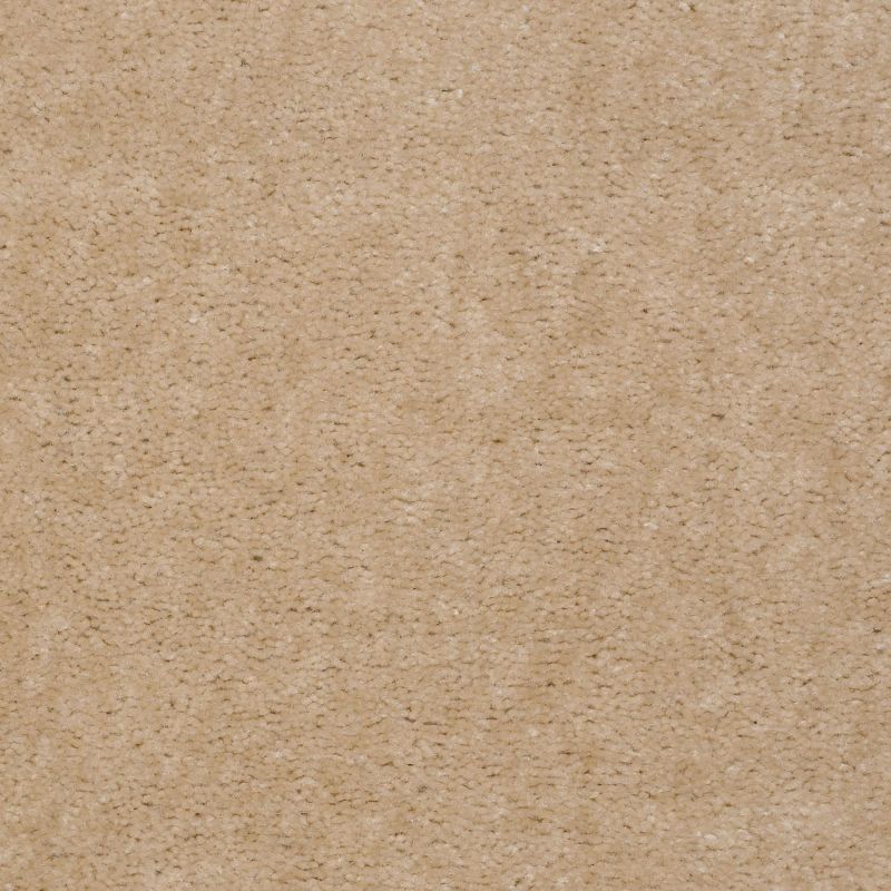 Shaw Floors Atherton Toast