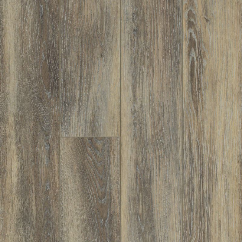 Shaw Floors SFA Sabine Hill Plus Sabbia