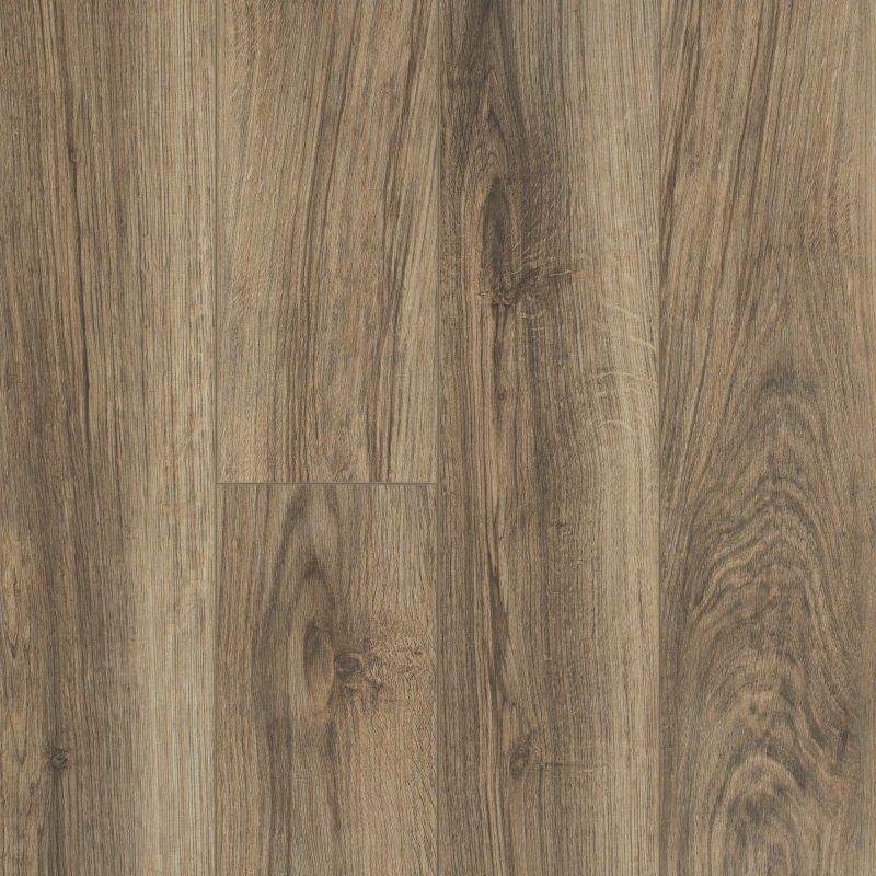 Shaw Floors SFA Sabine Hill Plus Riva