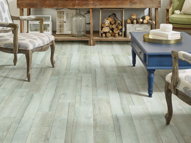 Shaw Floors SFA Antica HD Plus Vista