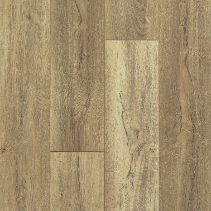 Shaw Floors SFA Antica HD Plus Foresta