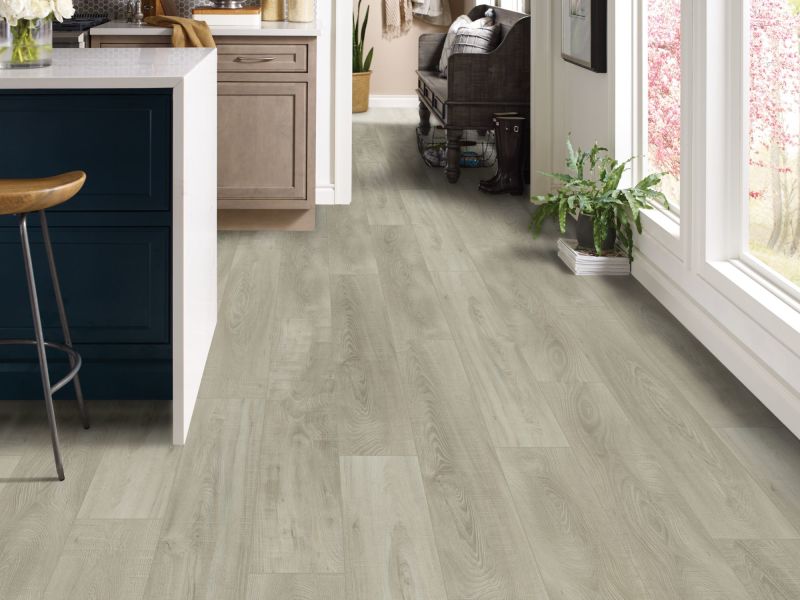 Shaw Floors SFA Antica HD Plus Trevi