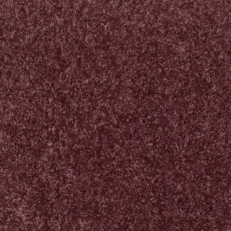Shaw Floors Shaw Flooring Gallery Colesville 12' Amethyst Sky